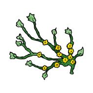cartoon flowering branch N8