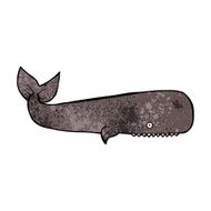 Cartoon Whale N81