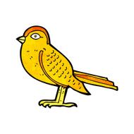 cartoon garden bird N34