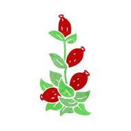 cartoon rosehip flowers N3