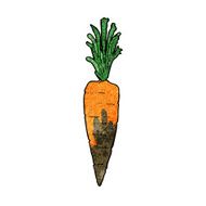 Cartoon Carrot N48