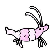 Cartoon Shrimp N44