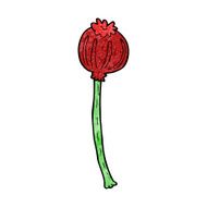 cartoon dried poppy N27