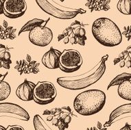 Fruit hand-drawing pattern