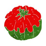 Cartoon Tomato N129