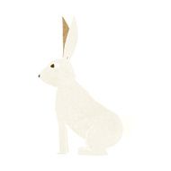 Cartoon Rabbit N130