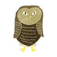 Cartoon Owl N133