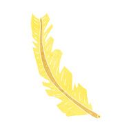 Cartoon Feather N51
