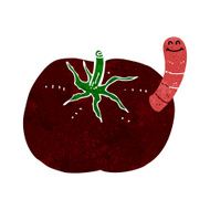 cartoon tomato with worm N9