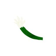 cartoon halloween vampire arm N57