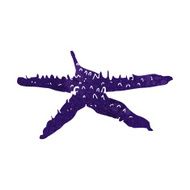 Cartoon Starfish N43