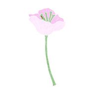 cartoon flower N415