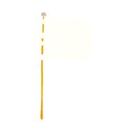 cartoon waving flag N15