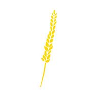 Cartoon Corn N17