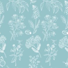 Seamless pattern with herbs on blue background