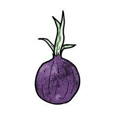 cartoon red onion N10