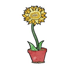 cartoon flower in pot N11