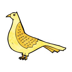 Cartoon Bird N313