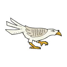 Cartoon Bird N314