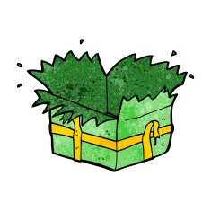 cartoon open present N9