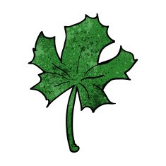 cartoon red maple leaf N3