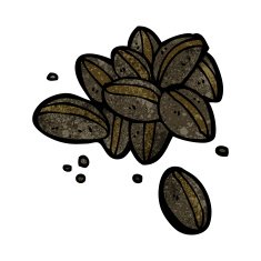 Cartoon Coffee Beans N23