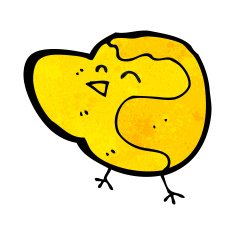 Cartoon Bird N325