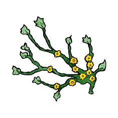 cartoon flowering branch N8