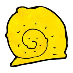 cartoon snail shell N8
