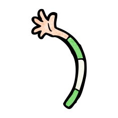 cartoon arm N152