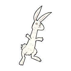 Cartoon Rabbit N125