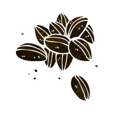 Cartoon Coffee Beans N24