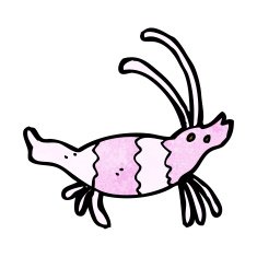 Cartoon Shrimp N44