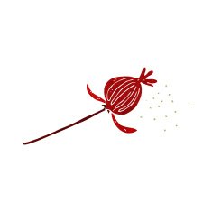 cartoon dried poppy flower N3