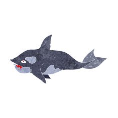 Cartoon Killer Whale N13