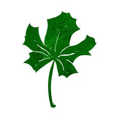 cartoon red maple leaf N4