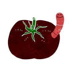 cartoon tomato with worm N9