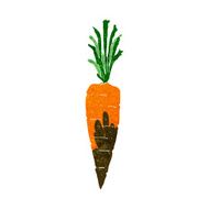 Cartoon Carrot N49