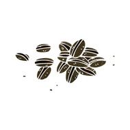 Cartoon Coffee Beans N26