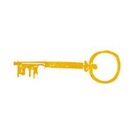 Cartoon Key N35