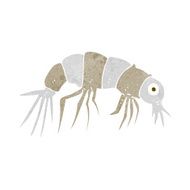 Cartoon Shrimp N46