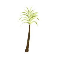 Cartoon Palm Tree N76