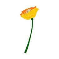 cartoon flower N426