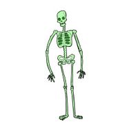cartoon spooky skeleton N7
