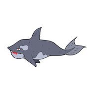 Cartoon Killer Whale N14