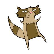 Cartoon Raccoon N28