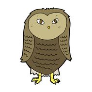 Cartoon Owl N140