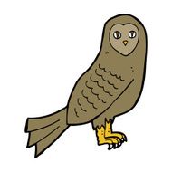 Cartoon Owl N141