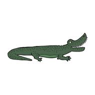 cartoon happy crocodile N9