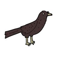 Cartoon Crow N29